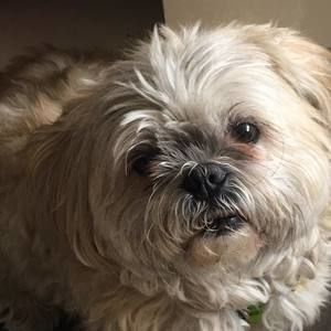 Meet your Posher, Aldo